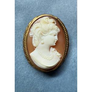 Small Shell Cameo Brooch Pendant