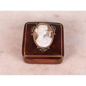 Shell Cameo Brooch/pendant