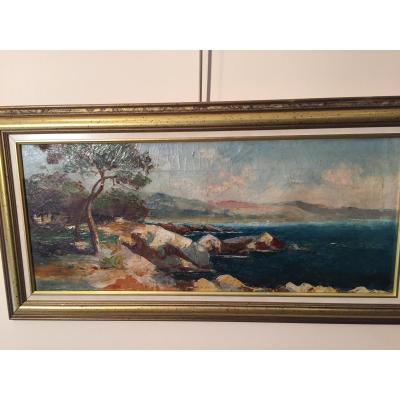 Seaside In Corsica Or Littoral Varois