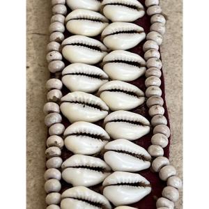 Girl's Belt In Cauris, Yinbaw Ethnic Group, Kayah Province, Burma