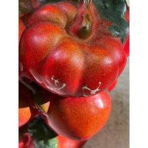 Summer Collection Rare Barbotine Carafe Decorated With Tomato Coeur De Boeuf Circa 1970 France