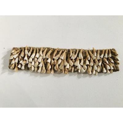 Warthog Tooth Headdress Kachin Burma Ethnic