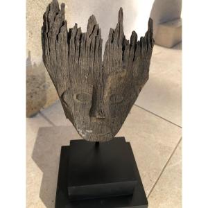 Gullied Hampatong Head, Borneo, Kalimantan, Indonesia