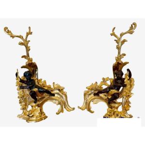 Pair Of Rockery Andirons