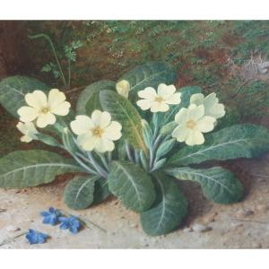 Anderson John Gouache & Watercolor Of Great Realism English School Signed 1867 