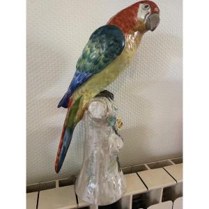 Meissen Porcelain Parrot, Circa 1900
