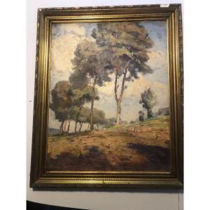 Landscape Painting On Canvas, 20th Century 