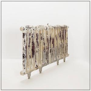 Victorian Cast Iron Radiator Decorated With Foliage And Flowers - 19th Century