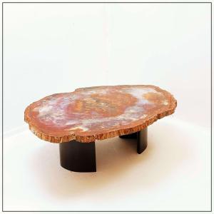 Arizona Red Petrified Wood Coffee Table: 114 X 88 Cm