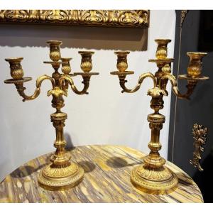 Pair Of Louis XVI Style Gilt Bronze Four-light Candlesticks – 19th Century