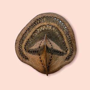 Wosera Mask, Yam Ceremony, Papua