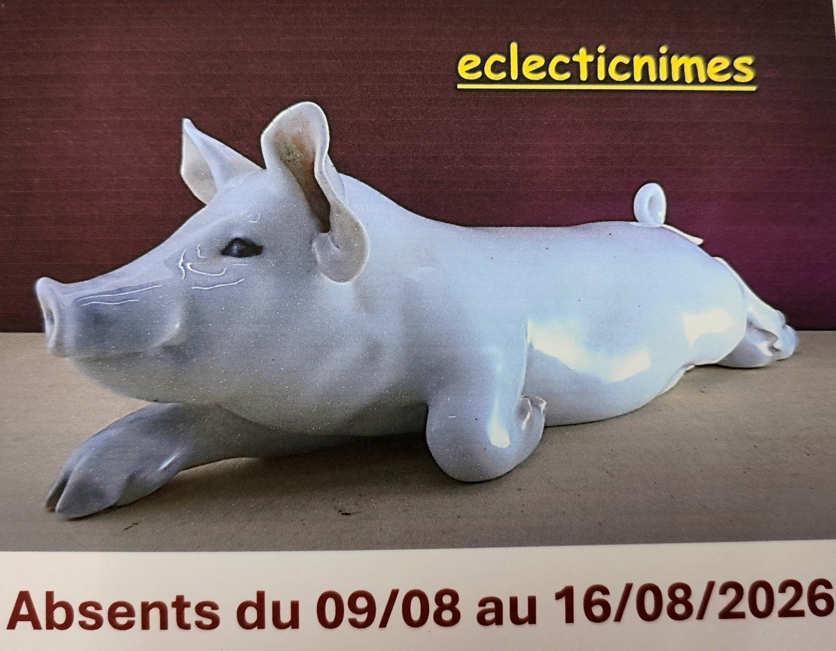 Eclecticnimes
