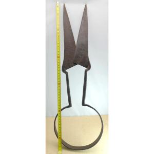 Very Large Sheep Shears, Forged And Signed Forces, Arles Museum