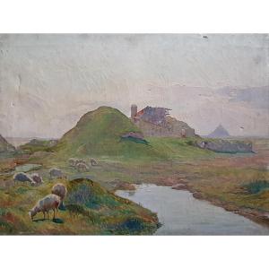 Sheep In The Bay Of Mont Saint Michel Oil On Canvas To Restore