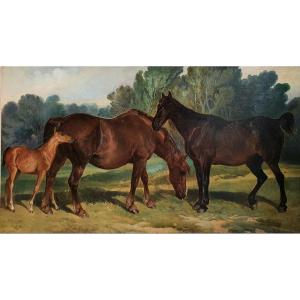 Hippolyte Lalaisse Horses From The Marshes Of Rochefort Around 1850 Large Oil On Canvas
