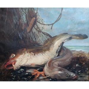 Dominique Rozier Coup De Filet Still Life With Fish, Mussels And Starfish