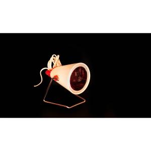Desk Lamp