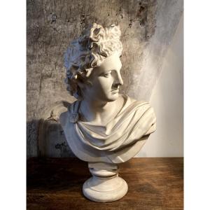 Plaster Bust Of Apollo Belvedere