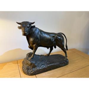 Bull Isidore Bonheur