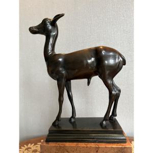 Bronze Fawn - Italy - Late 19th/early 20th Century