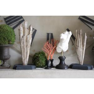 18th Century Carved Rays