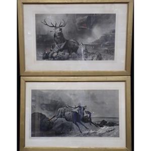 Hunting: Pair Of Engravings After Ansdell & Landseer