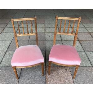 Two Low Chairs, Louis XVI Style.