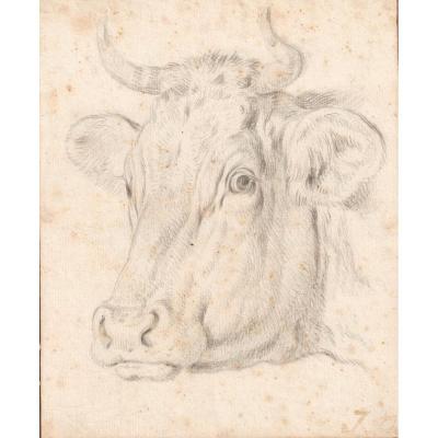 Jacob De Wit Ou De Witt (1695-1754)