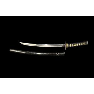 Shinto Wakizashi