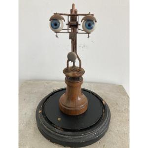 Object Of Curiosity 
