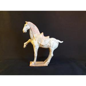 Tang Dynasty (618-907) - Prancing Horse - 47.5 Cm - With Test