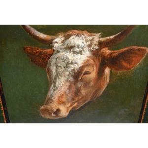 Study Of A Cow's Head, Oil Signed By Peyrol Bonheur
