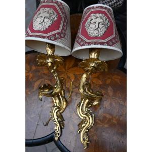 Pair Of Louis XV Style Bronze Single Arm Wall Lights, 19th Century
