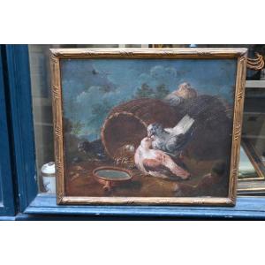 Jen Baptiste Huet, Entourage, Couple Of XVIII School Pigeons