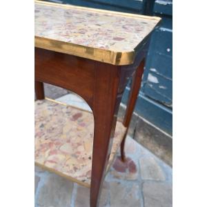 Louis XV Period Amaranth Coffee Table