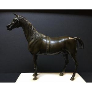 19th Century Bronze Race Horse
