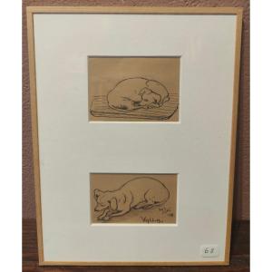 Bengt Hedberg - Valla Dog Portrait