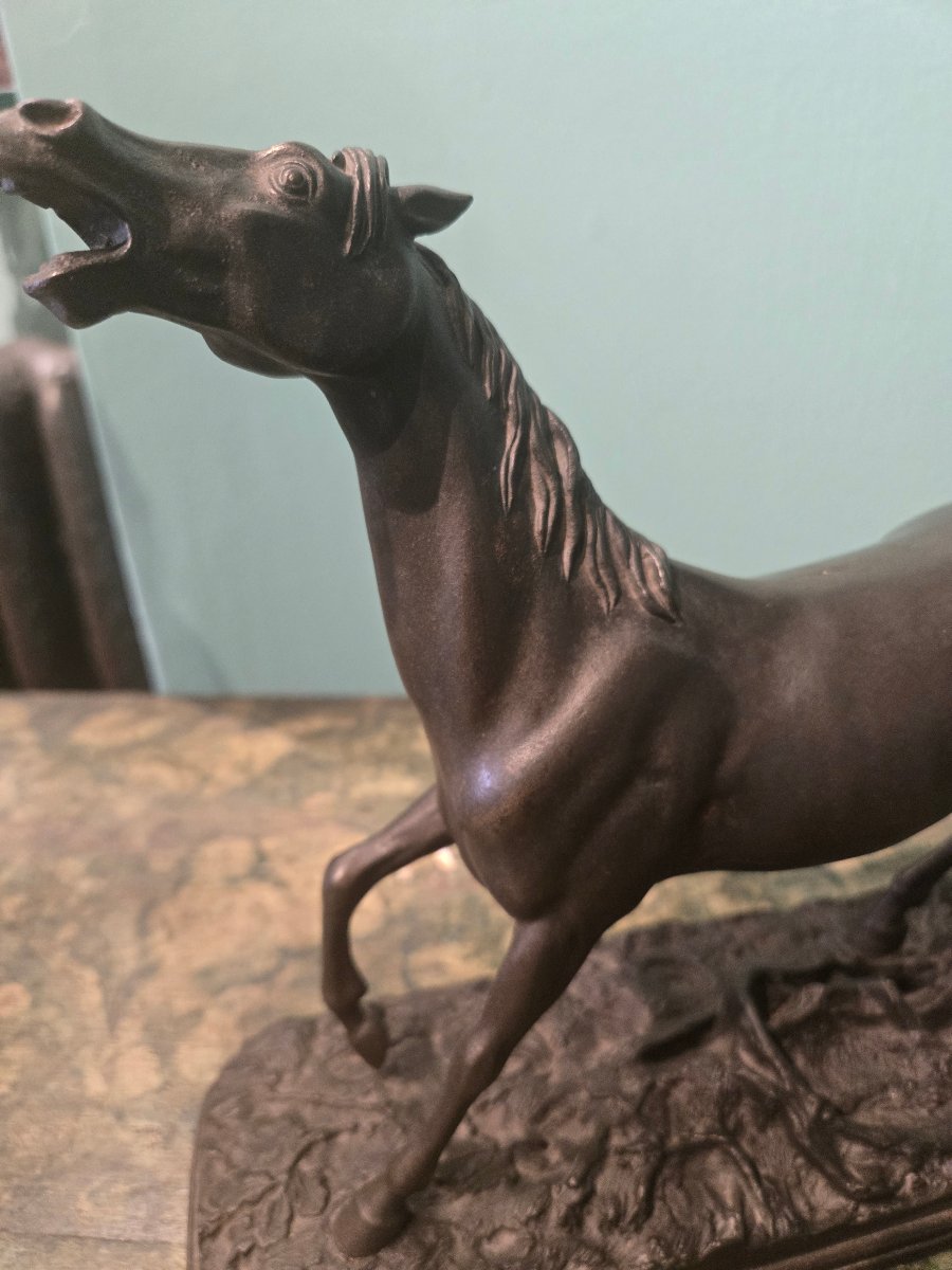Coppia di cavalli in bronzo a patina scura, seconda metà del XIX secolo, buono stato -photo-3