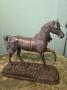 1775820-alb-6a2965c6ad16c.jpg