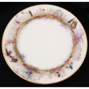 Humorous Naturalist Plate With Insects And Beetles