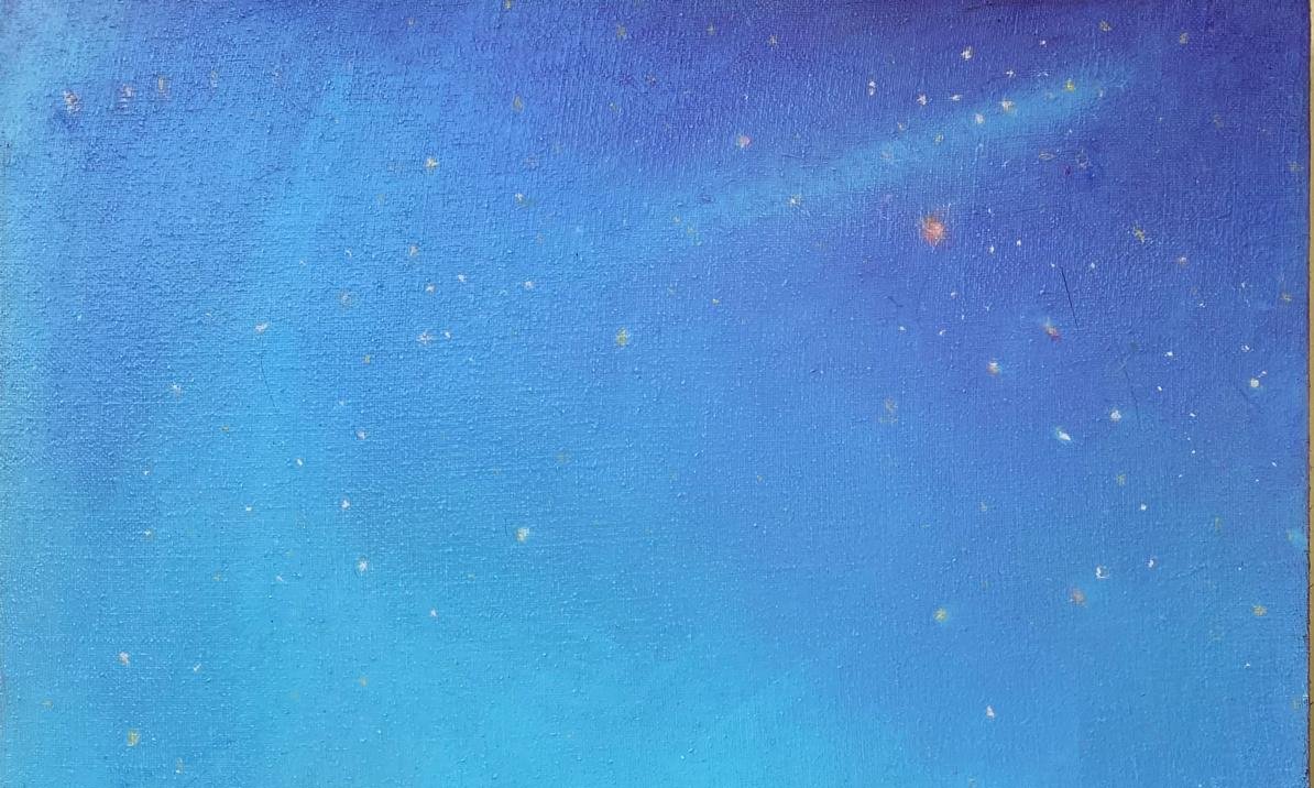 Olio, acrilico e pastelli su tela di juta,  Giardino di stelle – Claudio Sapienza 2024   90 x -photo-2