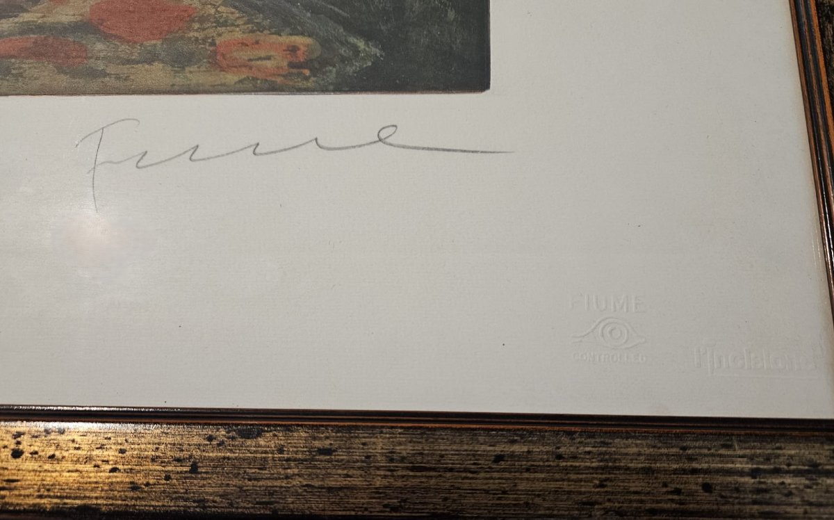 Elide fra i cuscini Litografia. Firmato in basso a destra Fiume-photo-3