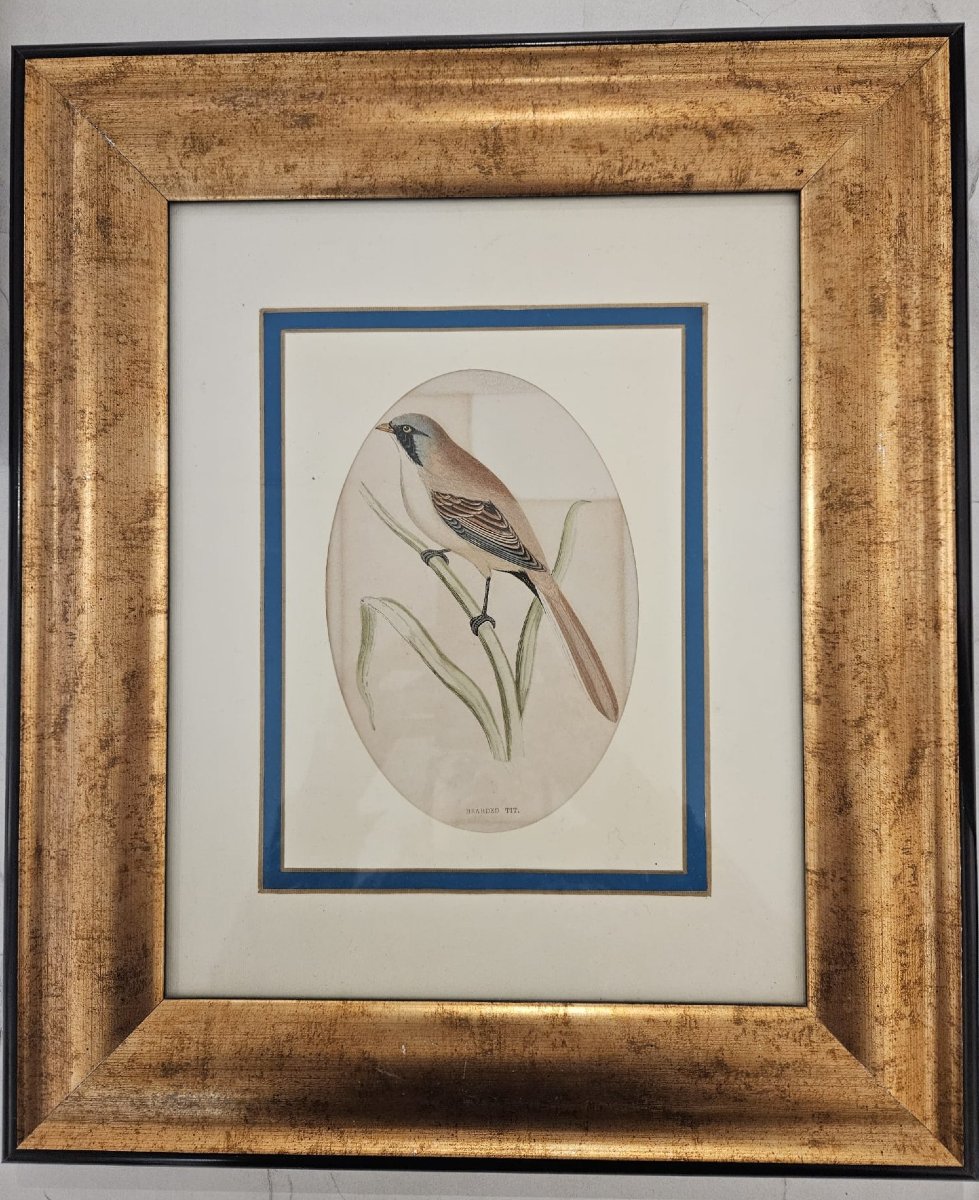 Incisione antica certificata, eseguita su lastra in acciaio e colorata a mano-photo-2