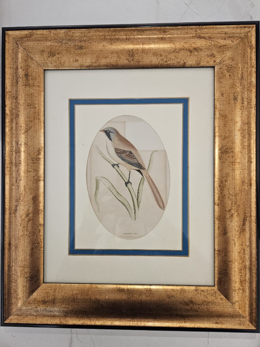 Incisione antica certificata, eseguita su lastra in acciaio e colorata a mano