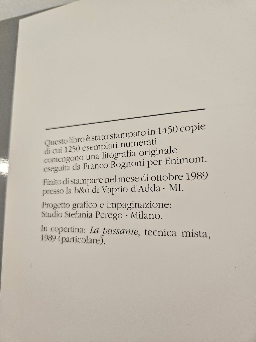 Catalogo d'arte dell'artista Franco Rognoni di Ed. SpiraleArte-photo-6