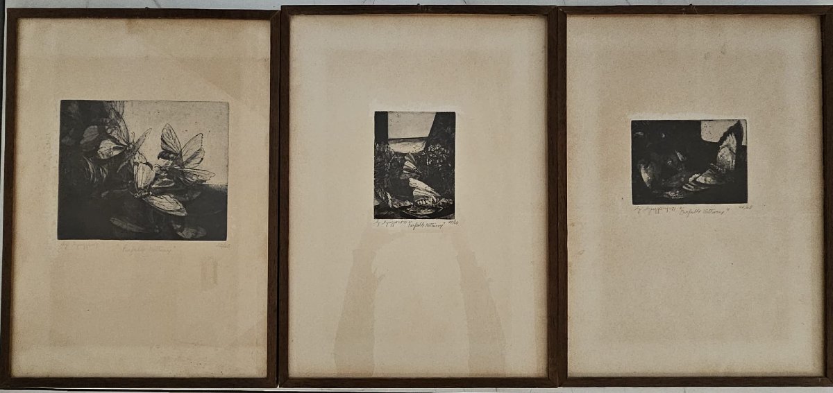 Trittico "Farfalle notturne" composto da n.3 stampe firmate Guzzone-photo-1
