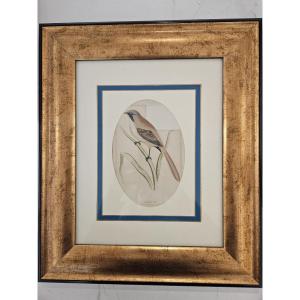 Incisione antica certificata, eseguita su lastra in acciaio e colorata a mano