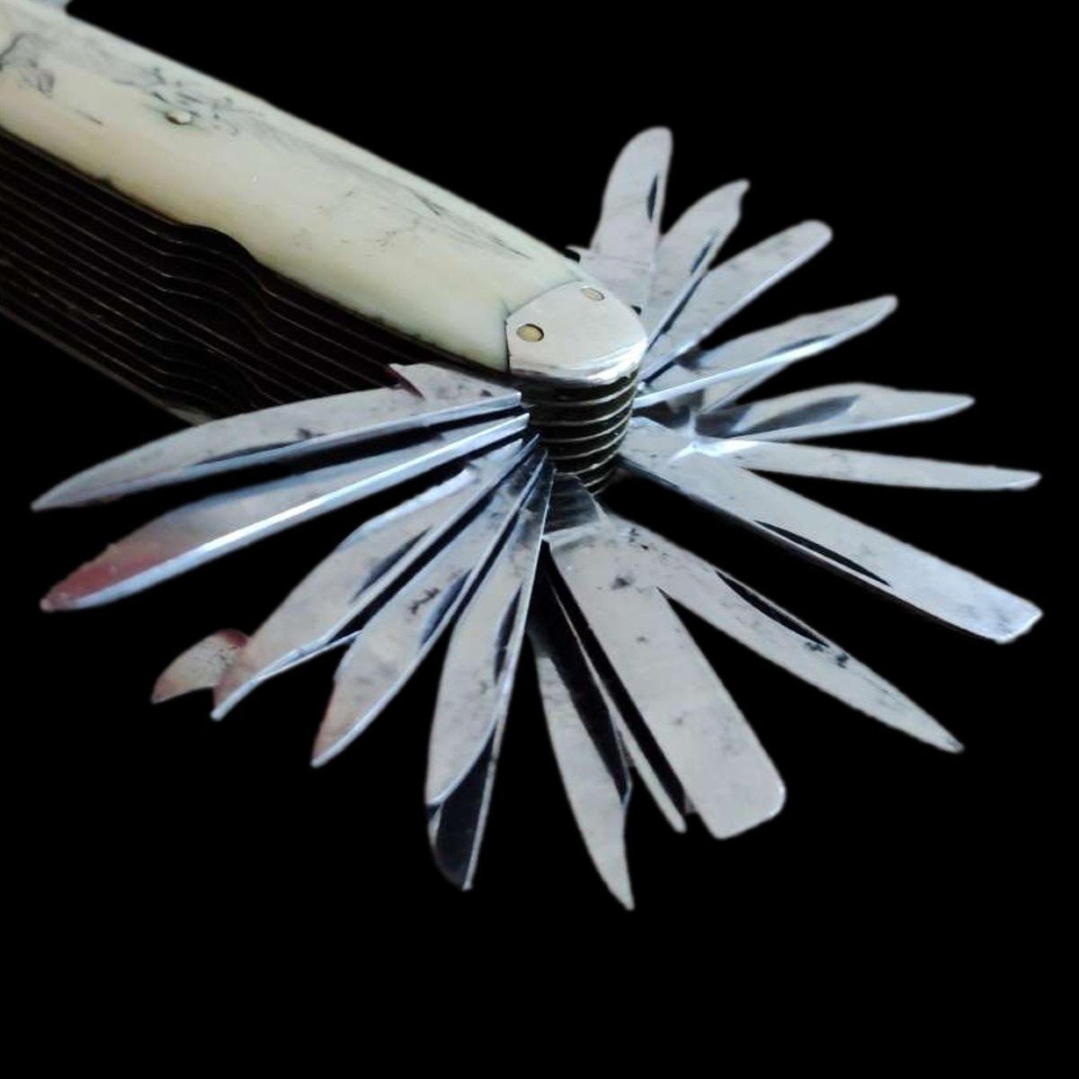Bellissimo antico coltello multilama a 40 lame con scrimshaw. Metà del 19mo secolo-photo-3