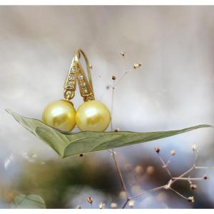 Orecchini in Oro Giallo con perle Akoya *Gold* da 9 mm