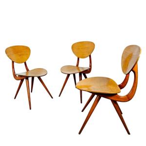 Curved Beech Chairs By Stella – France 1950
